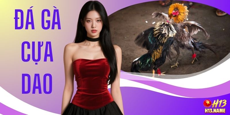 Đá Gà Cựa Dao Kịch Tính Cùng 3 Giống Chiến Kê Hàng Đầu