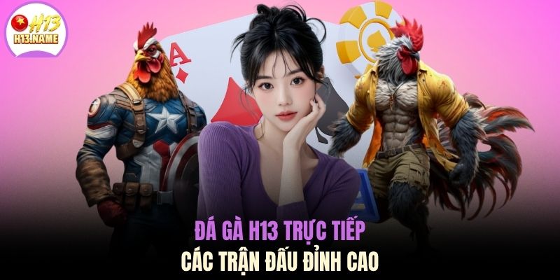 Đá gà H13 1 Đá gà H13 trực tiếp các trận đấu đỉnh cao